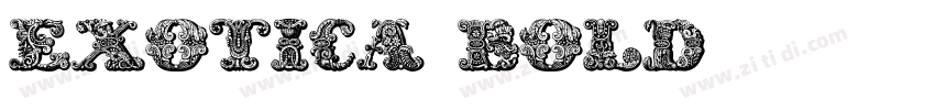 Exotica Bold字体转换